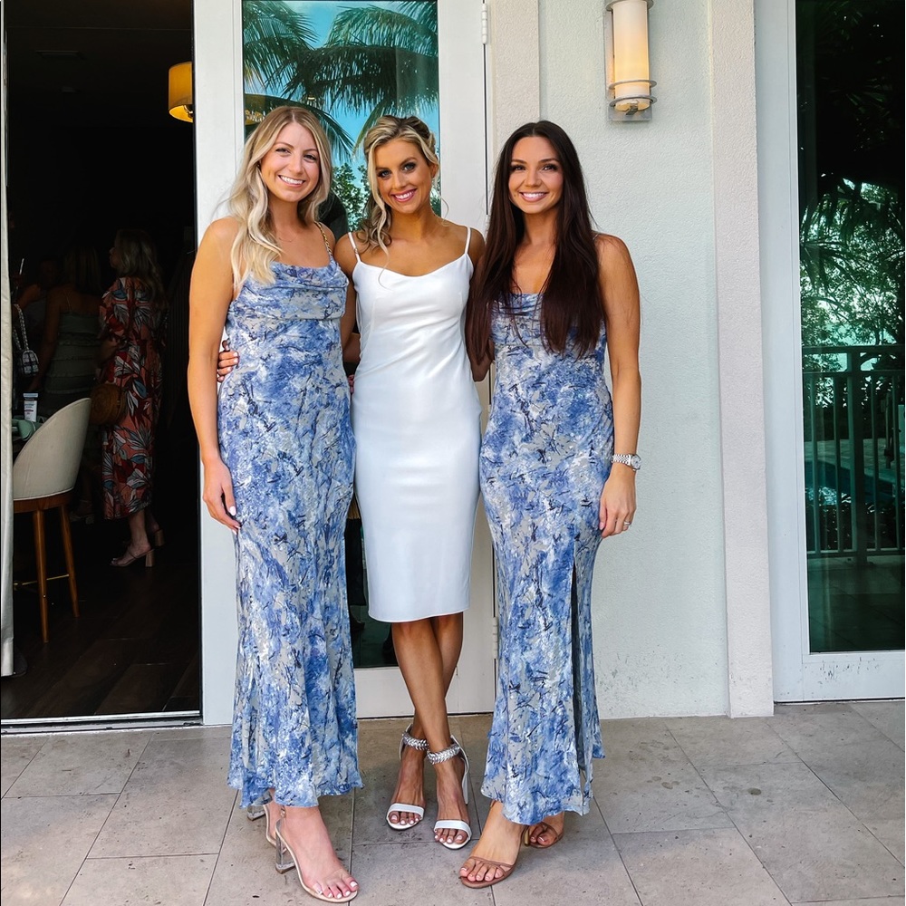 Revolve Pretty Bird Dress